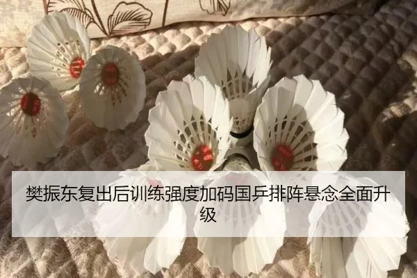 樊振东复出后训练强度加码国乒排阵悬念全面升级